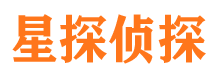 陆川市调查公司